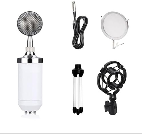 ELzEy Set microfono, microfono vocale portatile, adatto for telefoni cellulari e laptop (Color : White)