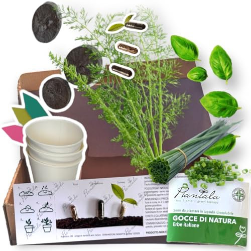 SEMI PIANTABILI (ERBE ITALIANE: basilico, aneto, erba cipollina – KIT GERMINAZIONE COMPLETO)