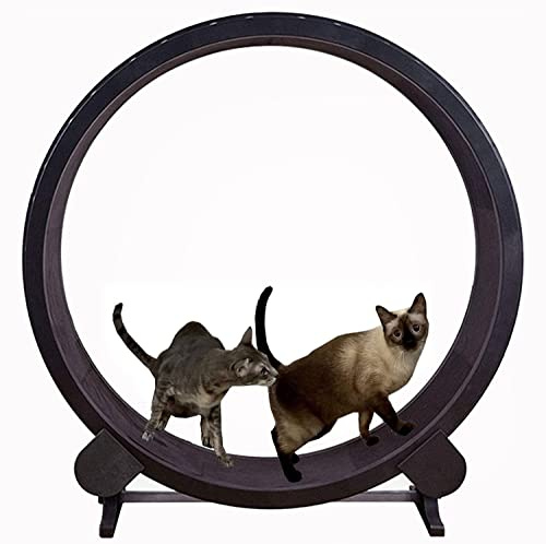 BCJMKDX Rueda para Gatos. Rueda de Ejercicio for Gatos, máquina Correr silenciosa for pequeños y medianos, Juguete Deportivo for Bajar Peso