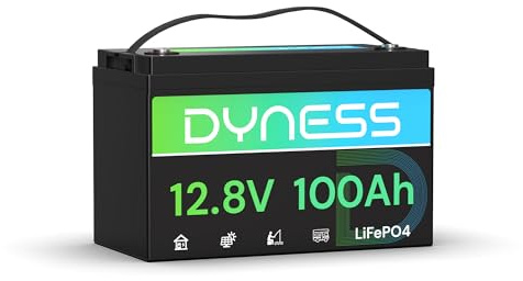 Dyness LiFePO4 12V 100Ah Lithium Batterie mit 100A BMS, Niedertemperaturschutz, Max.15000 Zyklen, 12V Lithium Solar Batterie für Wohnwagen, Solar Home Systeme, Boote