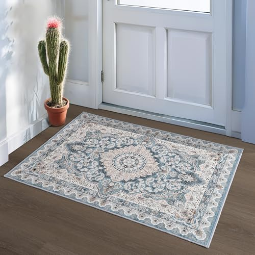 Foxmas 2x3 Blue Washable Entry Rug