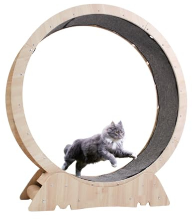 CATURE Rueda de Ejercicio para Gatos, Diseño Circular en Madera Natural con Interior Acolchado, Base Estable (M)