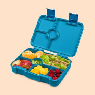 schmatzfatz Brotdose Kinder mit Fächern, BPA Frei Lunchbox Kinder, Bento Box Kinder, Brotbox für Mädchen & Jungen, Snackbox, Perfekt für Schule, Kindergarten & Ausflüge (Petrol)
