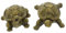 Amosfun 2St Schildkröte Feengarten-Ornament Frosch-Statue realistische Meerestiere Gartenverzierung Miniatur Frösche lebensechtes Simulationstiermodell Meerestierfigur Harz Dark Green