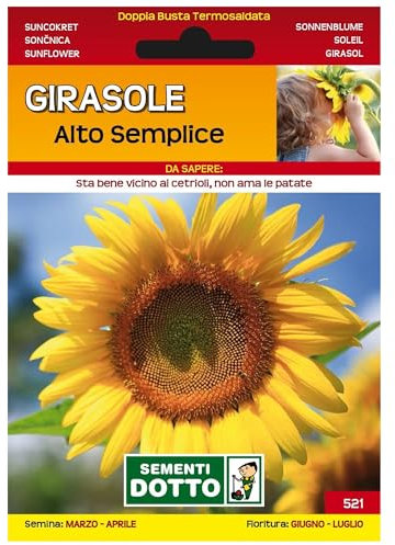 Sicignano | Semi Girasole Alto Semplice, Pianta Annuale Decorativa, Grande Infiorescenza Color Giallo Oro Busta Extra - 4 Confezioni da 6g, Pianta da Potatura, Adatta a Pieno Sole