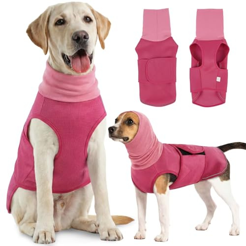IECOii Chaleco calmante para perros, chaleco reflectante para aliviar la ansiedad y el ruido, chaleco calmante para perros, chaleco calmante para hematoma, malla elástica, chaqueta para perros