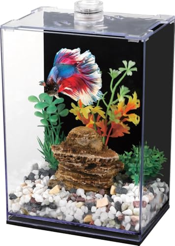 Kampffischbecken mit LED-Licht, 15x10x20 cm, Acryl-Aquarium mit Deckel und schwarzer Tapete