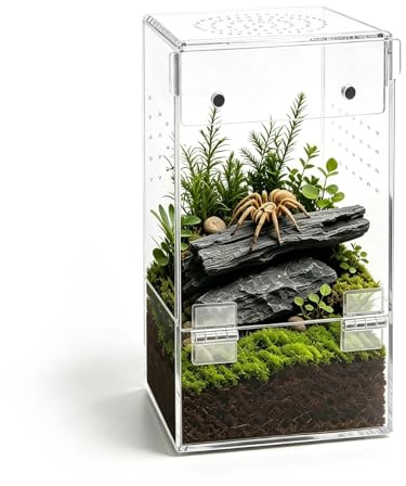 Akrylterrarium, minifaunarium, hoppspindlar, terrarium, hög, 8 × 8 × 15 cm, akrylinsektsmatare med ventilation, 360° transparent odlingslåda för sniglar, fågelspindel, ödlor, skorpioner