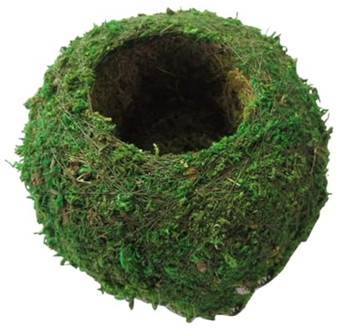 Palla di muschio, fioriera naturale da 6 pollici Bonsai Muschio Kokedama Vaso da fiori Verde Porta piante bonsai per giardinaggio fai da te Piantare Decorazione della tavola di casa