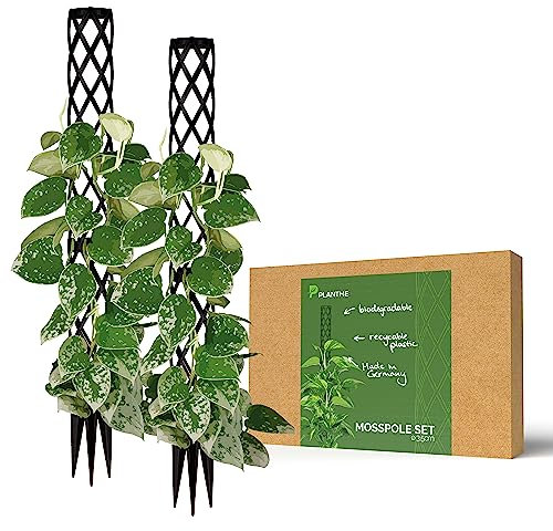 PlantMe Rankhilfe mini, kleine Rankhilfen für Kletterpflanzen , Monstera , Moosstab , Pflanzstab , Pflanzenstütze , small Moss Pole , Kletterhilfe Zimmerpflanzen (2x 40cm without filling, Schwarz)