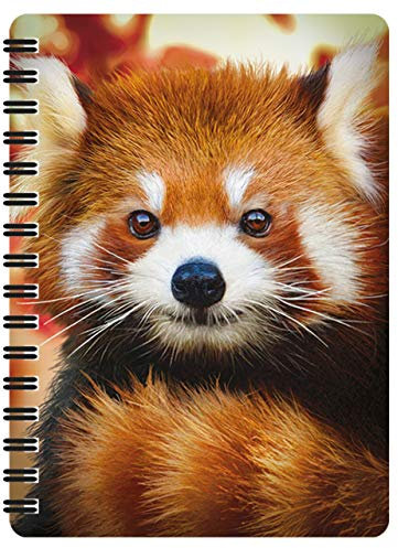 3D LiveLife Deluxebase Baby-Panda-Notizblock mit Spiralbindung, A6, linsenförmig, 3D-Seiten, blanko, recyceltes Papier, lizenzierte Illustrationen des renommierten Künstlers David Penfound