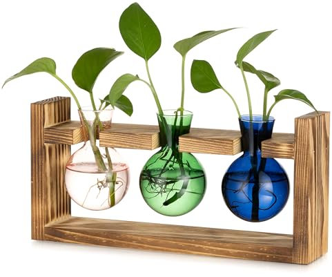 Glasseam Pflanzen Propagation Station für Wohnzimmer: Kleine Vase Glas Mini Terrarium mit Holz Rahmen für Home Büro Regal Tischdeko Fensterbank - Bunt Blumenvase Vintage Deko für Plant Hydrokultur