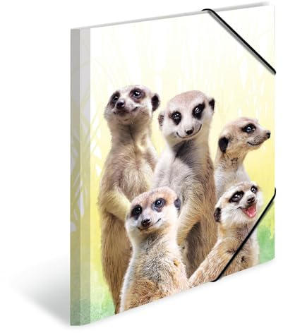 HERMA 19971 Carpeta de dibujo Animales exóticos con motivo de Grupo suricatos, A3, plástico resistente, con impresión interior, carpeta de 1 palmo