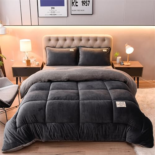 AIMENJOY Couette d'Hiver en Coton et Velours Double Face, Épaissir Cachemire Courtepointe, Couverture Unie Chaude et Épaisse, Cadeau (Gris Foncé, 220x240cm - 5KG)