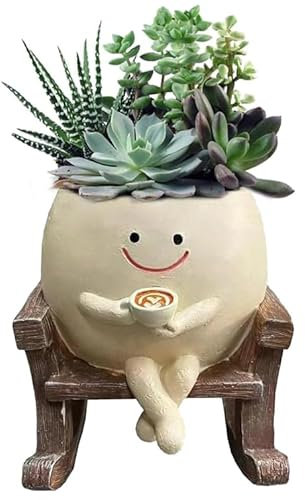 maceta con cara oscilante, cara sonriente, macetas para suculentas con drenaje, sit mecedora, suculentas, plantas de interior, flores suculentas