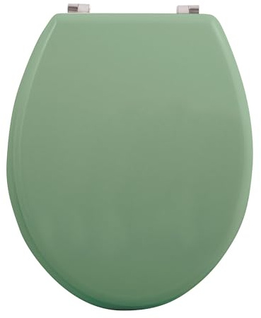Well Home Asiento WC, con bisagras acero inoxidable, acabado, color albahaca