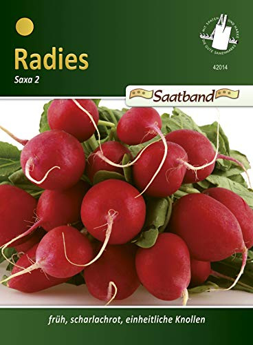 N.L. Chrestensen 42014 Radies Saxa 2 - Cinta de semillas de rábano
