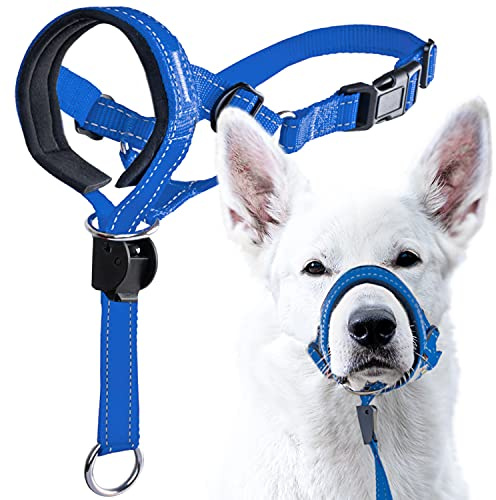 GoodBoy Dog Head Halter with Safety Strap - Stops Heavy Pulling On The Leash - Padded Headcollar for Small Medium and Large Dog Sizes - Head Collar Training Guide Included (Size 4, Blue Nylon)