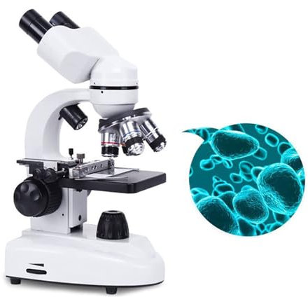 Mikroskop för Vuxna, 10000x,15000x,20000x Förstoring, med Mikroskopobjektglassats, Professionella Mikroskop för Skollaboratoriets Biologiska Utbildning i Hemmet