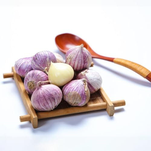 4 pcs Steckknoblauch bio gewächshaus balkon Pflanzknoblauch Winterhart Zwiebeln bonsai topf geschenke für gartenliebhaber echte pflanzen zimmerpflanzen gemüsepflanzen deko garten balkonpflanzen