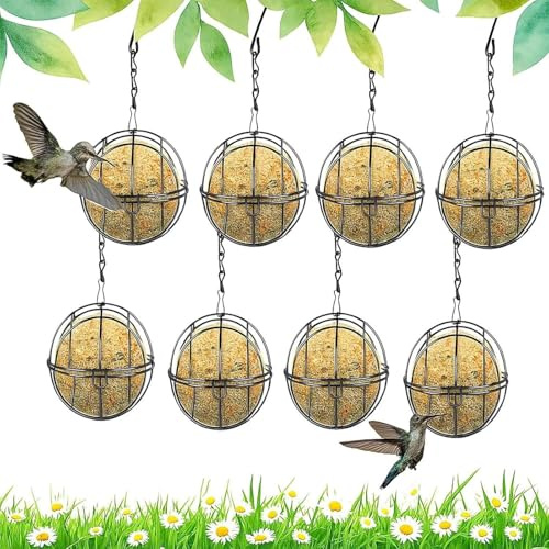 Distributeur de Nourriture pour Oiseaux,Décoration Suspendue Robuste - Support pour Boules de Graisse et Station de Nourrissage | pour Terrasse Jardin Balcon Parc Finches Robins Sparrows Budgies