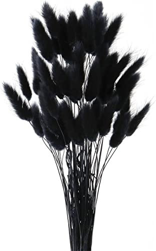 Yeehliny Pflanzenstiele, ländlicher Stil, Hasenschwanz Trockenblumen Deko ewig haltbar Pampasgras & getrocknete Blumen Pampasgras Trockenblumenstrauß Vase Deko,50 Stück (Schwarz)