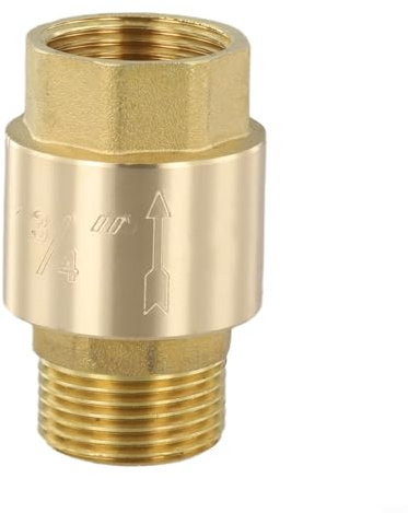 Clapet anti-refoulement efficace en laiton pour diverses applications avec pression nominale de 1 5 MPA (3/4)