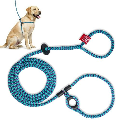 Harness Lead No Pull Dog Harness and Leash Set, Anti Pull Dog Harness, One-Piece Cushioned Rope Safely Prevents Escaping and Pulling (Medium/Large, Purple/Turquoise)