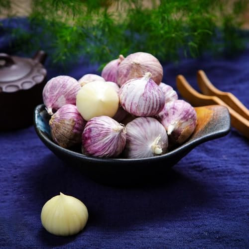 3 pcs elefantenknoblauch， hochbeete für garten pflanzknoblauch， winterharte kübelpflanzen exotische pflanzen pflanztöpfe，pflanzen für sonnige plätze winterharte pflanzen für garten