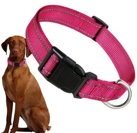 Reflexhalsband för husdjur, hundhalsband i nylon Reflekterande Justerbar | Hund komforthalsband Bekväm justerbar reflekterande hög synlighet Säkerhet för medela hundar, katt, olika hundar,