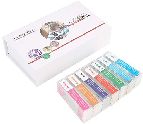 35 Portaobjetos Preparados Microscopio con Muestras Biológicas de Vidrio para Tejidos, Insectos y Plantas 25,4x76,2x1,2mm Laboratorio Educación Estudiantes Profesionales