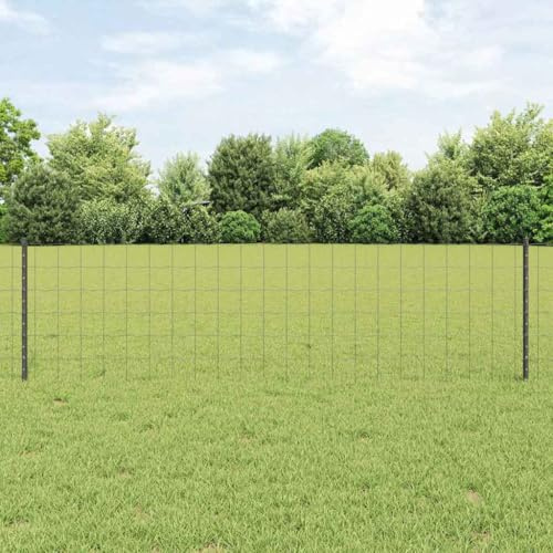 Tonture Recinzione con pali grigi, elemento di recinzione resistente alle intemperie in acciaio e PVC, a doppia asta, verniciato a polvere, per recinzione da giardino, frangivista, delimitazione