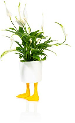 Pot de Fleurs Pieds de Canard Jaune Petit modèle