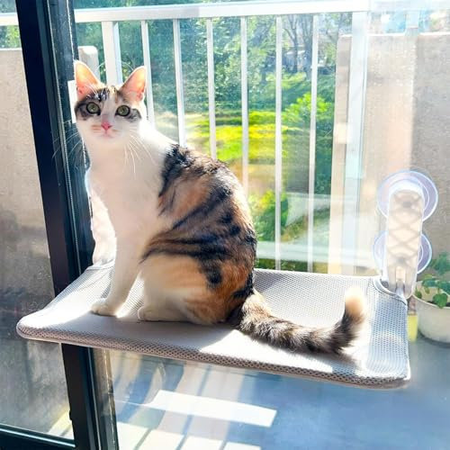 Cat Window Bed Hammock Perch with Upgraded Suction Cups Cat Windowsill Seat Foldable 52x30cm for Large Cats Perches Holding Up to 25kg Easy to put together (Flannel + Mesh - Gray)