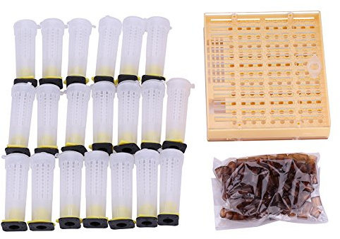 TARSHYRY Kit D'élevage de Reines, Boîte D'apiculture en Plastique de Haute qualité, Ensemble de Cages pour Apiculteurs sans Greffage, Jaune Marron 14,2x13x2,9cm, 110 Gobelets Cellulaires