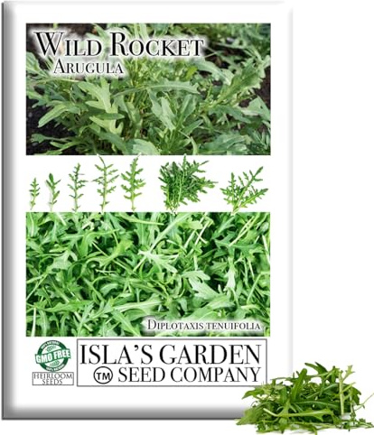 Wild Rocket Arugula Seeds (Diplotaxis tenuifolia) – 1000+ Heirloom Non-GMO Seeds by Isla’s Garden Seeds, Spicy Peppery Greens, Fast-Growing Cut-and-Come-Again Harvests, Cool-Season Garden Favorite