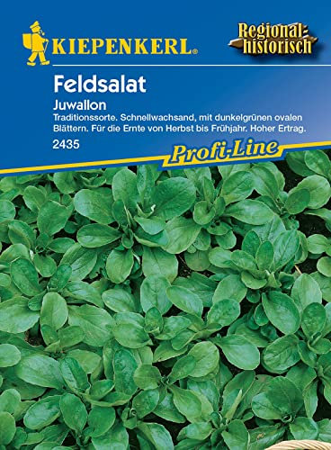 Kiepenkerl 2435 Feldsalat Juwallon, schnellwüchsige bewährte Züchtung mit robustem leuchtend dunkelgrünen Blatt, Hoher Ertrag
