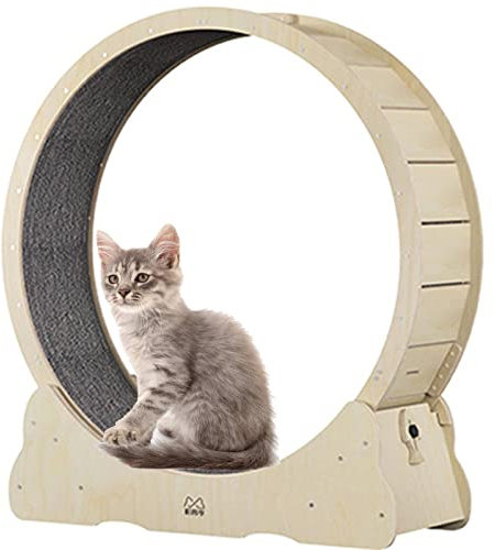 BLANKX Katzenlaufrad für Wohnungskatzen, Leises Kleines Mittelgroßes Laufrad für Katzen, Kleine Lücke Haustier Katze Laufrad Spielzeug mit Bremse,XL-Woodcolor