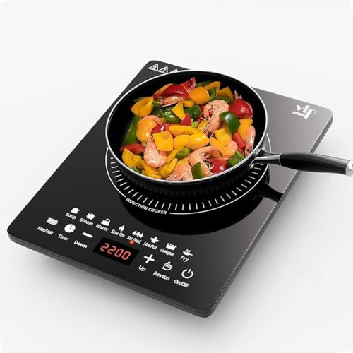 Plaque à induction, 2200W plaque de cuisson induction portable avec fonctionnement silencieux, 8 modes de cuisson tactile avec capteur, brûleur de comptoir multifonction (T863257)