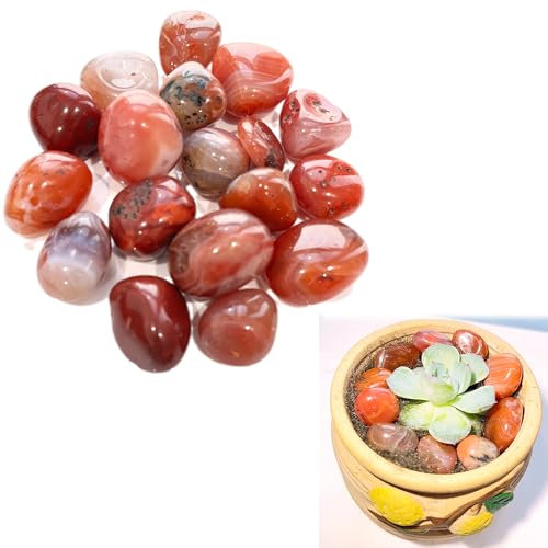 Syiyunran Pietre Cristalli Burattate Ciottoli Gemme Decorative Preziose - Rosso, 100g, Ghiaia Agata Cristallo Semipreziose, per Acquario Fioriere Caccia al Tesoro Gioielli Rendendo Decorativo