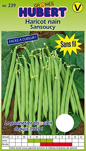 Graines de Haricot Nain Sansoucy - 150 grammes