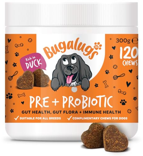 Bugalugs Probiotics for Dogs Natural Dog Treats with Pumpkin Powder for dogs – Gut Health, Sensitive Tums, Anal Glands, Scooting, Loose Stools, Smelly, Itchy Ears, Great for all dogs
