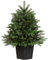 WeRChristmas Christmas Tree, Green, 3 ft