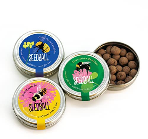 SEEDBALL Bumble Bee Mix Seed Bombs (3X Wild Flower Tins), 20 Seed Balls Per Tin | Eco Friendly British Wildflower Gardening Gifts for Women & Men, Seed Bomb with Poppy, Chamomile, Cornflower and More