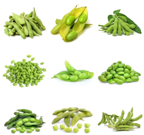 semillas de edamame, para bancales elevados de frijol de jardín 25pcs
