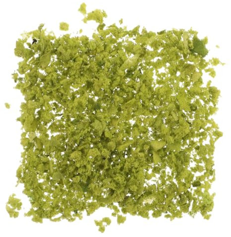 TEMPNAP Gazon Artificiel De Modélisme Ferroviaire 5 Sachets 100 g Poudre De Gazon Synthétique Verte pour Décor Miniature Et Loisirs Créatifs Maquettes De Train Et Diorama