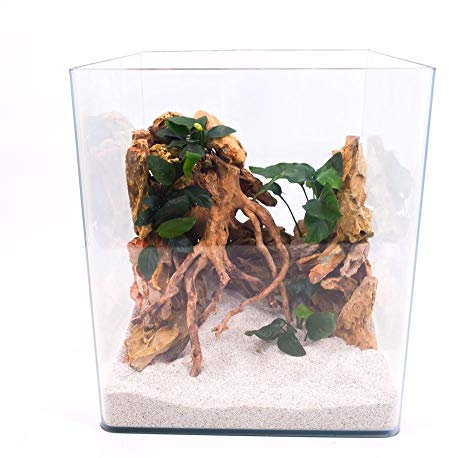 Amtra Technik Nanotank 30 Aquarium Abdeckung Unterlage Cube Becken Glasbecken Glasaquarium Panoramaglas Glas Süßwasser Würfel Cube