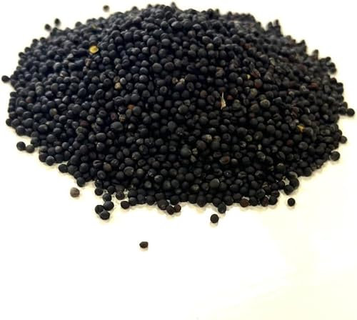Black Rape Seed and Bird Seed 1Kg Green Manure LGDS