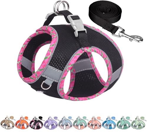 AIITLE Arnés y Correa para Perros para pasear, arnés para Cachorros, Suministros Suaves y Transpirables para Mascotas, para Perros Extra pequeños y Gatos domésticos, Negro XXXS