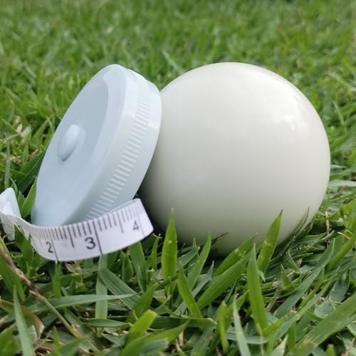 DONZWIYES Pallino - Bola de repuesto para juego de pelota de bochas y juegos de boule, calidad de torneo, 57 mm, repuesto de bola blanca de Bocce Pallino, incluye cuerda de medición azul